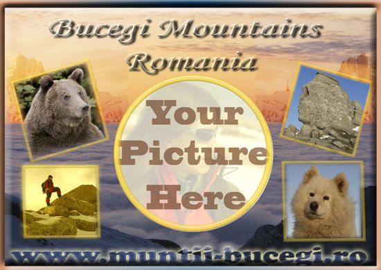 Postcard Bucegi Plateau